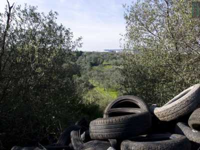 Poco pi� in l� una serie di pneumatici abbandonati fa mostra di s�: la lama nel complesso appare comunque abbastanza pulita